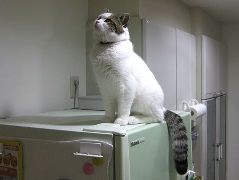 上が気になる