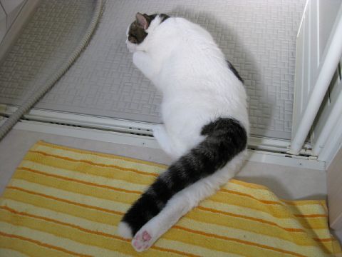 足ぴーん