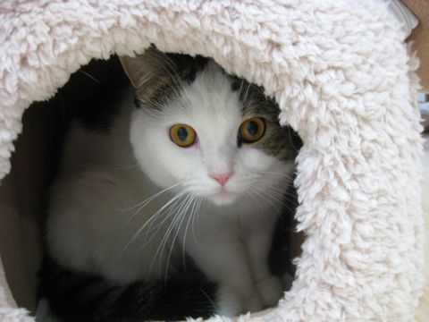 ちょっと狭い