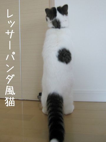 まるで・・・