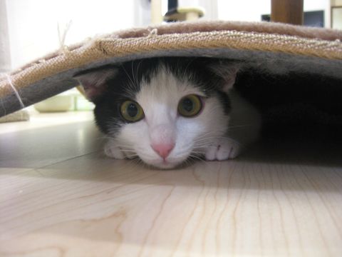 ここいいでしょ！