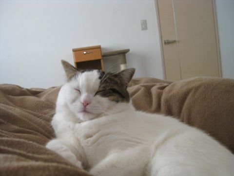 ママのお腹の上