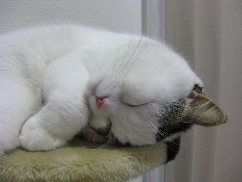 手ぐにゃり