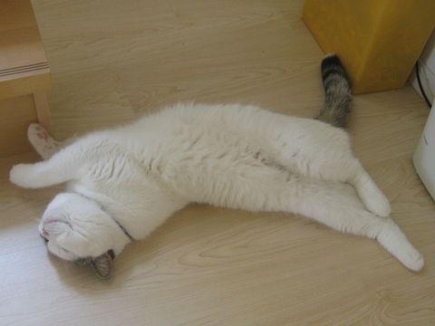 ひねり～