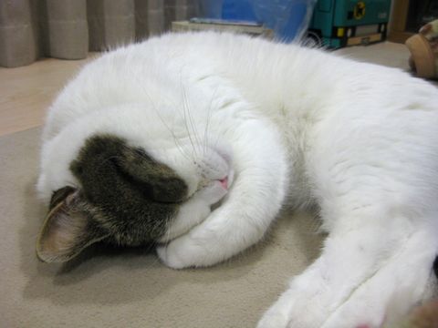 顔かくし