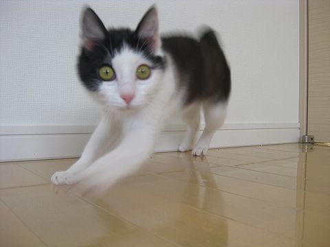 ぴょ～～ん