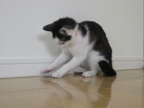 このやろこのやろ