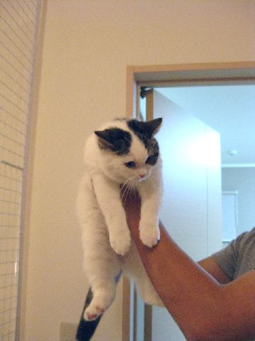下りたくなかったのに・・・