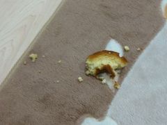 ドーナツの残骸