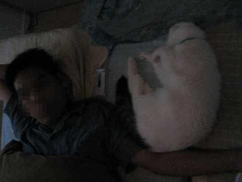 パパともち 2