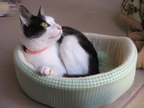 ちんまり