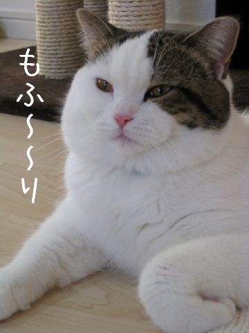 2倍2倍
