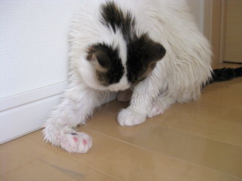 手が・・・