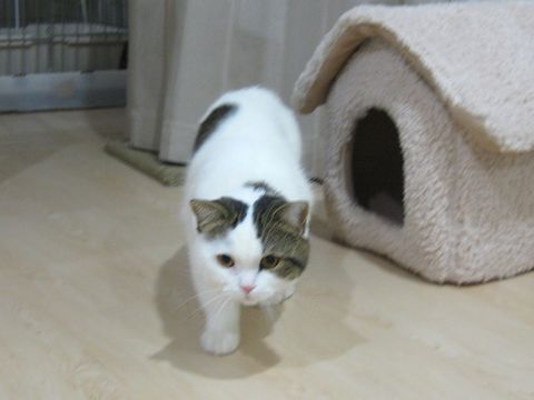 ちょっとずつ近寄る