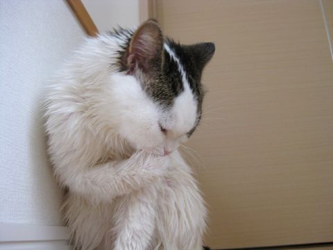 左手ばっかり