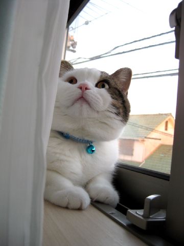ちょっと開けないでよ