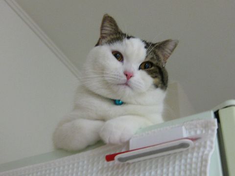 くつろぐ2