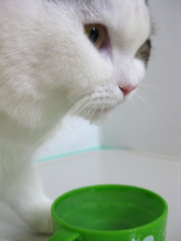 顎濡れできあがり