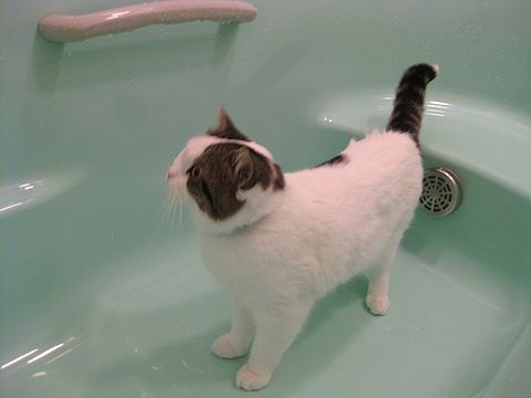 ふふふ～～ん♪