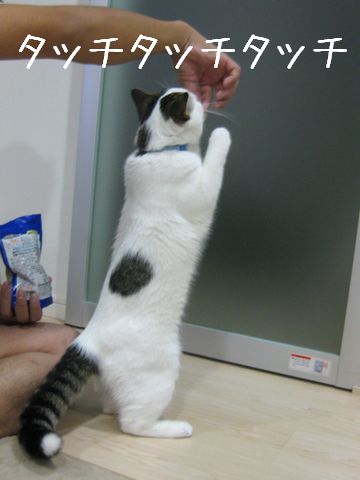 欲しい！