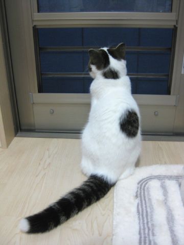 ちんまり
