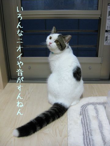 それはね