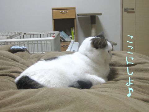 ここにしよ～っと♪