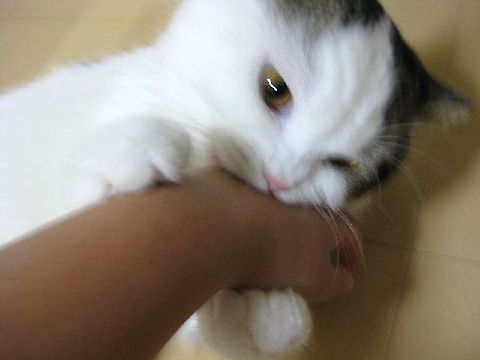 うるさい！