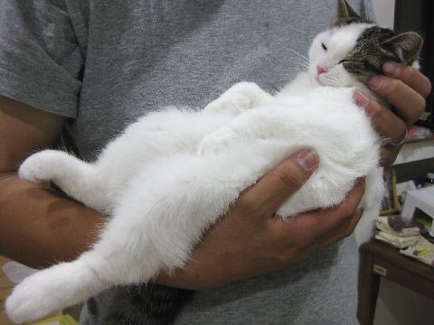 パパ抱っこ