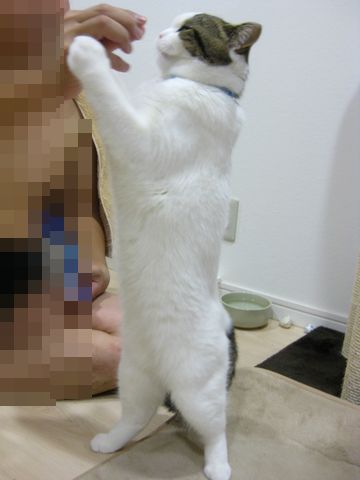 脚ぴーん