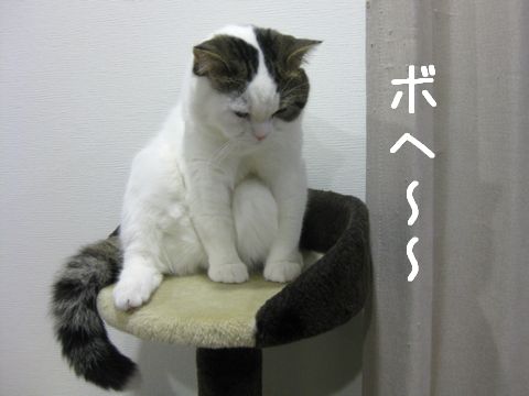 変な格好