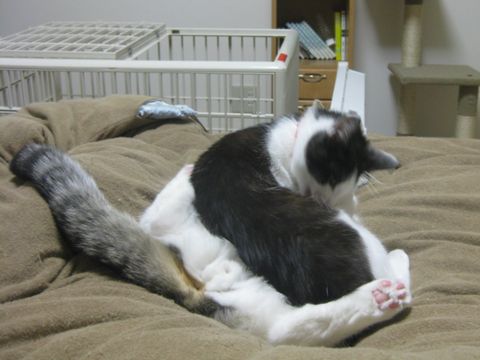 やっぱり・・・