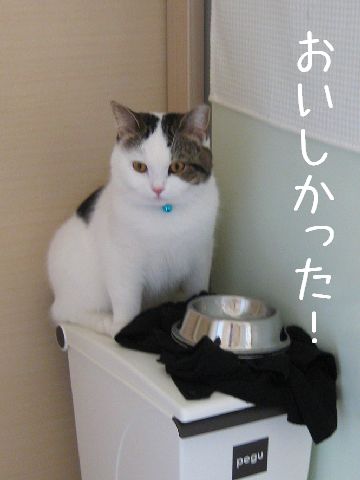 満足です！