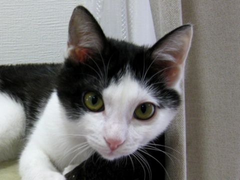 大人になりつつあるのね・・・