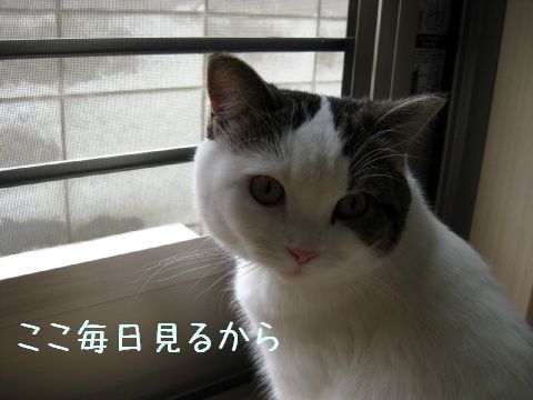 いい感じ