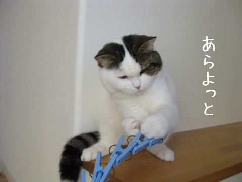 練習中 2