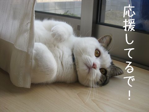 がんばって！