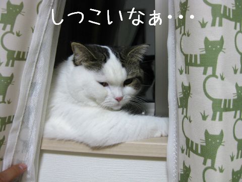 しつこいって