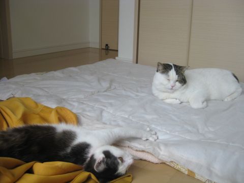 疲れたから寝よう