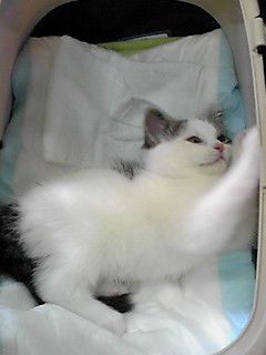 キャリーでごろごろ