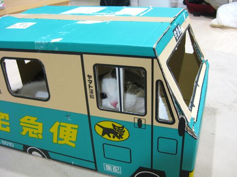 安全確認！