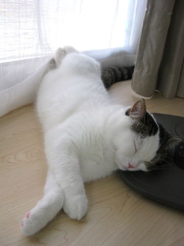 足がｷｭｯ