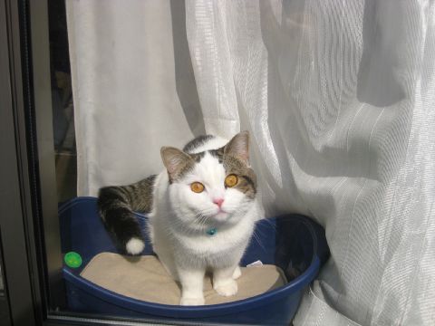 何してんの？