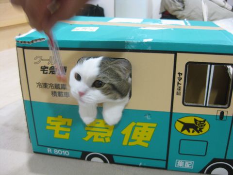 顔出すと危ないですよ