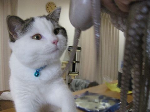 ひえ～