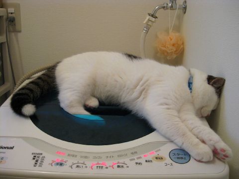 頭あたってるよ