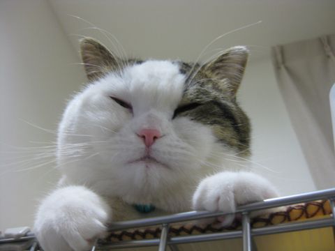 下から