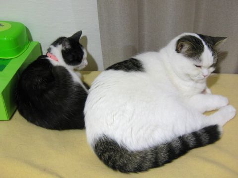 あと少し！