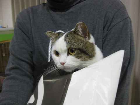 中身出ちゃいました