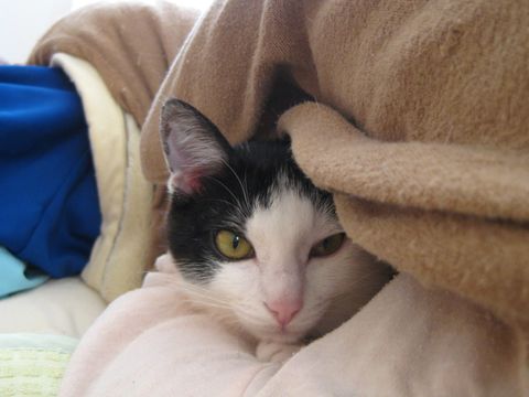 ママの左脇のとこ